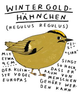 meet some richtig kleine tiere!
im januar: WINTERGOLDHÄHNCHEN
.
kalender im shop erhältlich :)