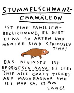 meet some richtig kleine tiere!
STUMMELSCHWANZCHAMÄLEON
.
kalender im shop, sehr gutes geschenk :)
