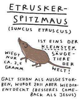 die ETRUSKERSPITZMAUS ist das märztier. noch mehr richtig kleine tiere im kalender -> im shop!
.
ein schönes weihnachtsgeschenk für die liebsten leute :)
